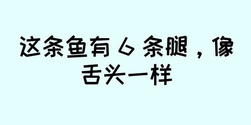 这条鱼有 6 条腿，像舌头一样