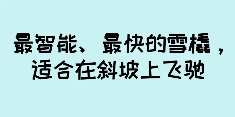 最智能、最快的雪橇，适合在斜坡上飞驰