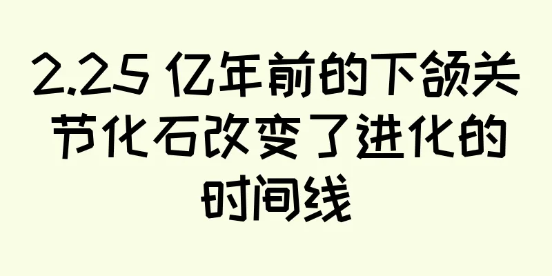 2.25 亿年前的下颌关节化石改变了进化的时间线