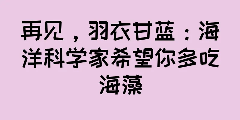 再见，羽衣甘蓝：海洋科学家希望你多吃海藻