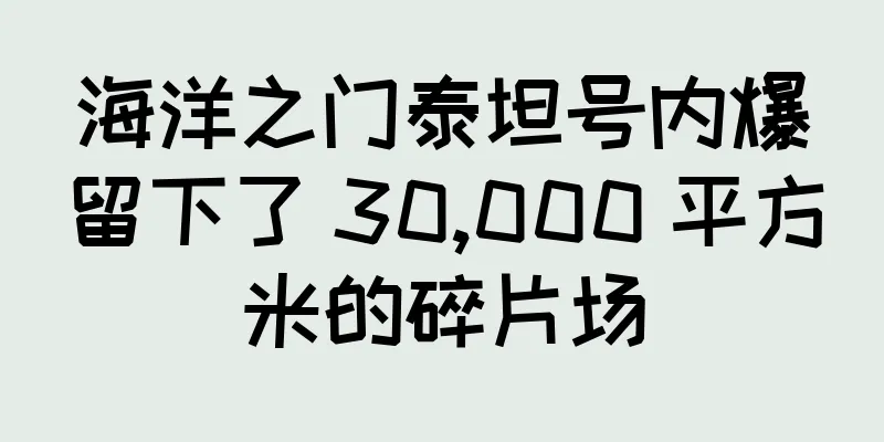 海洋之门泰坦号内爆留下了 30,000 平方米的碎片场