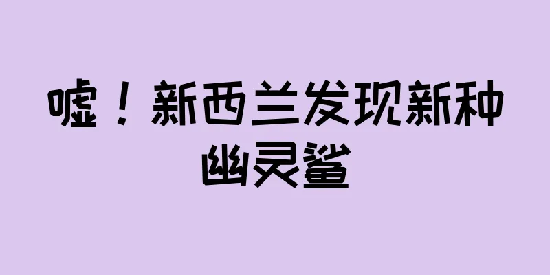 嘘！新西兰发现新种幽灵鲨
