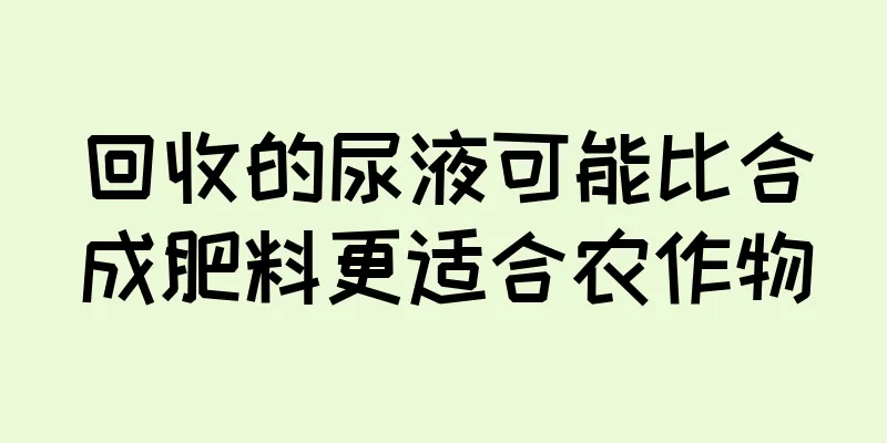 回收的尿液可能比合成肥料更适合农作物