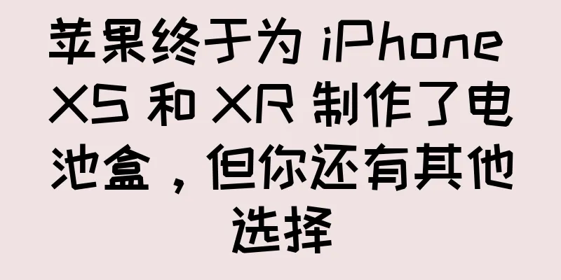 苹果终于为 iPhone XS 和 XR 制作了电池盒，但你还有其他选择
