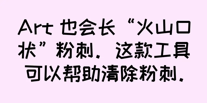 Art 也会长“火山口状”粉刺。这款工具可以帮助清除粉刺。