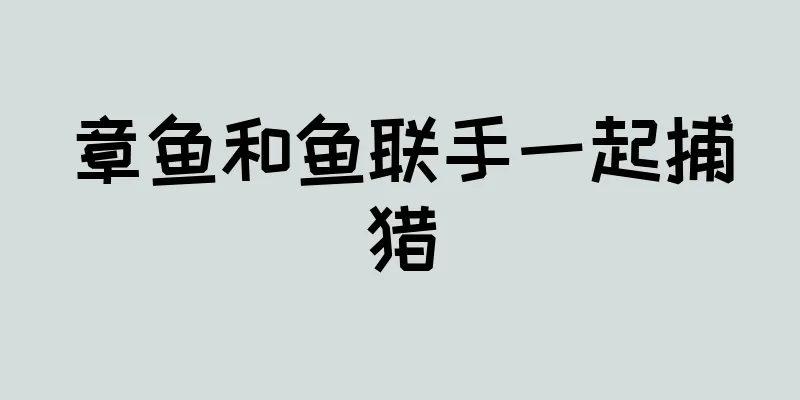 章鱼和鱼联手一起捕猎
