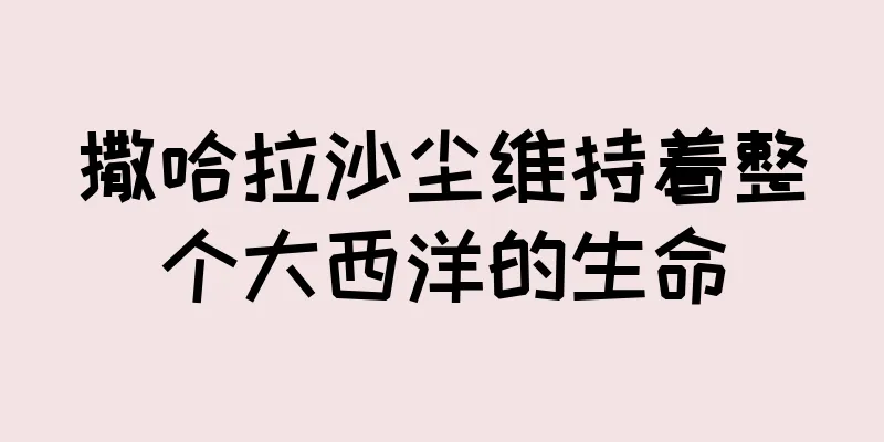 撒哈拉沙尘维持着整个大西洋的生命