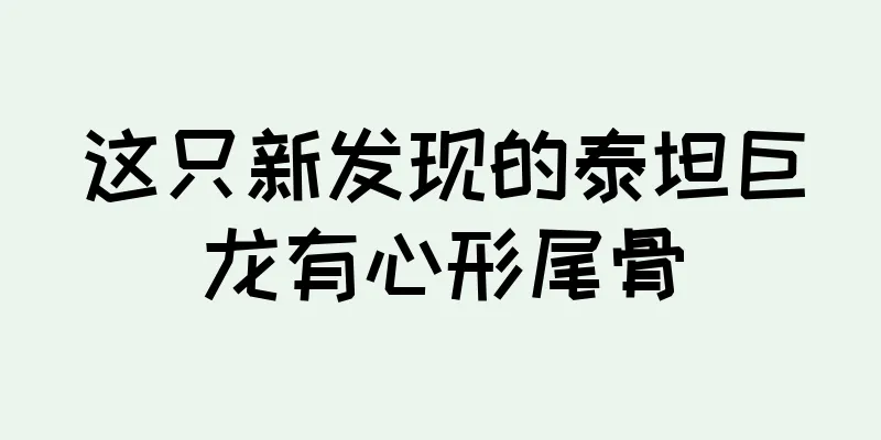 这只新发现的泰坦巨龙有心形尾骨