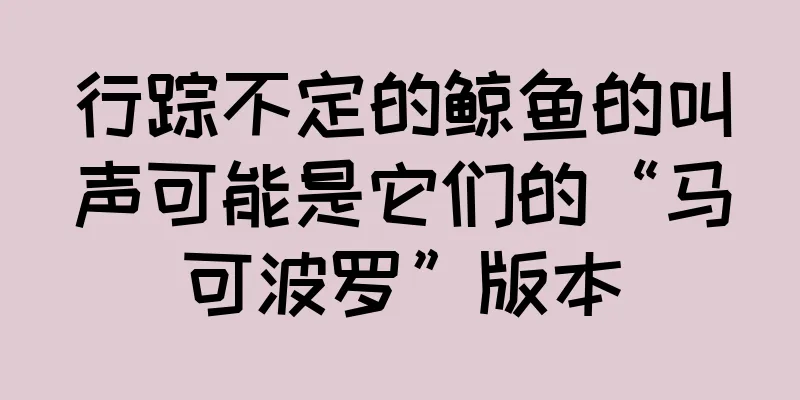 行踪不定的鲸鱼的叫声可能是它们的“马可波罗”版本
