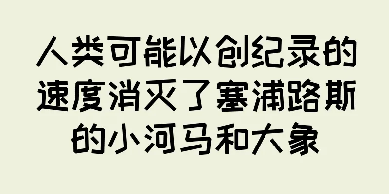 人类可能以创纪录的速度消灭了塞浦路斯的小河马和大象