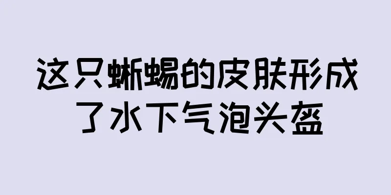 这只蜥蜴的皮肤形成了水下气泡头盔