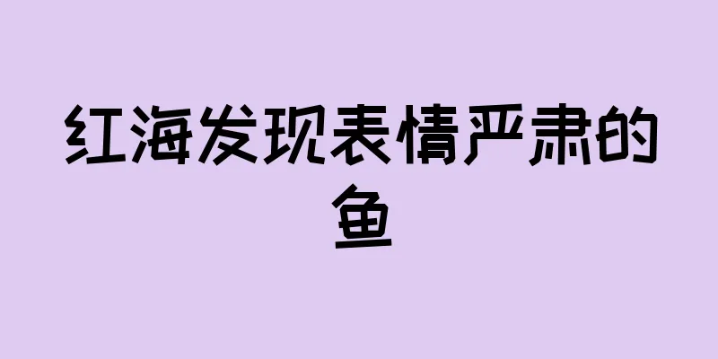红海发现表情严肃的鱼