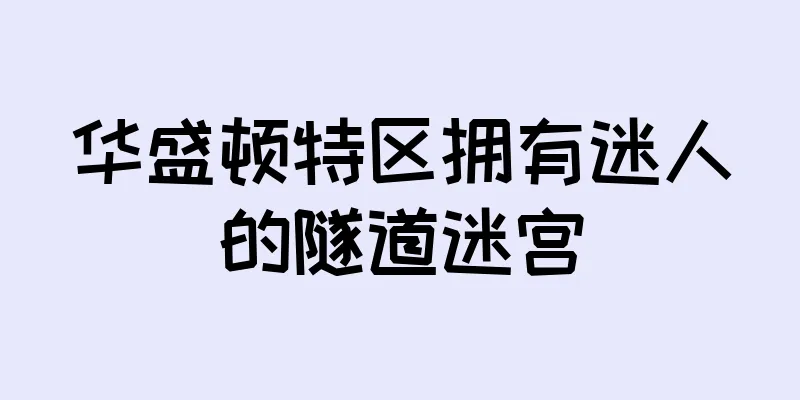 华盛顿特区拥有迷人的隧道迷宫