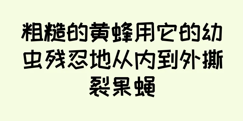 粗糙的黄蜂用它的幼虫残忍地从内到外撕裂果蝇