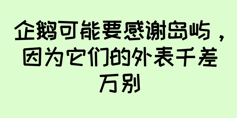企鹅可能要感谢岛屿，因为它们的外表千差万别