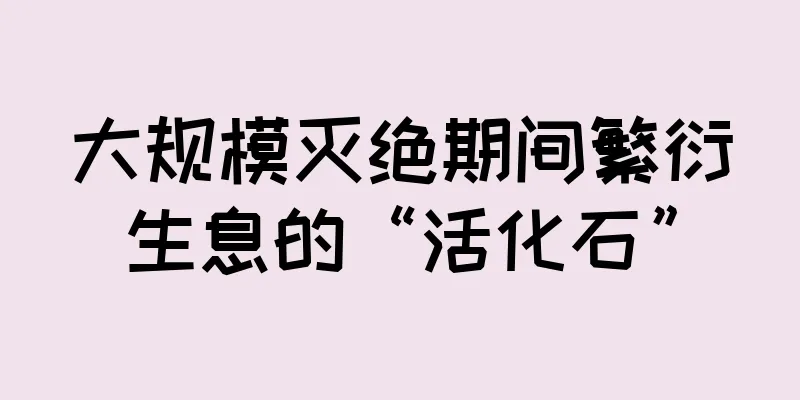 大规模灭绝期间繁衍生息的“活化石”