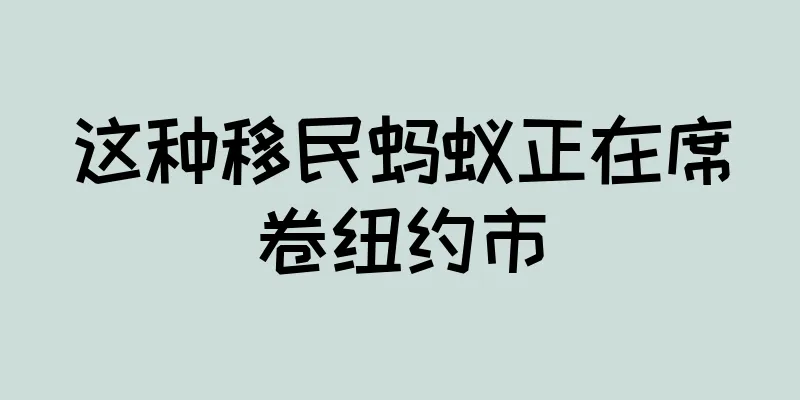 这种移民蚂蚁正在席卷纽约市