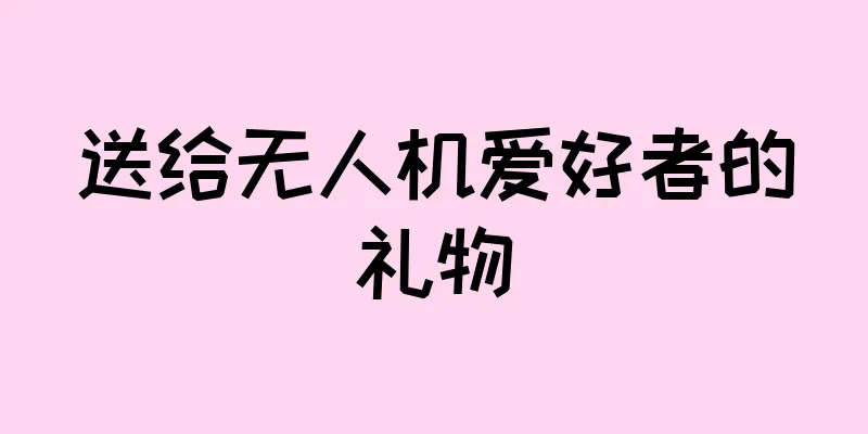 送给无人机爱好者的礼物