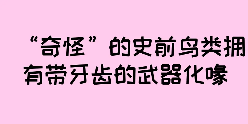 “奇怪”的史前鸟类拥有带牙齿的武器化喙