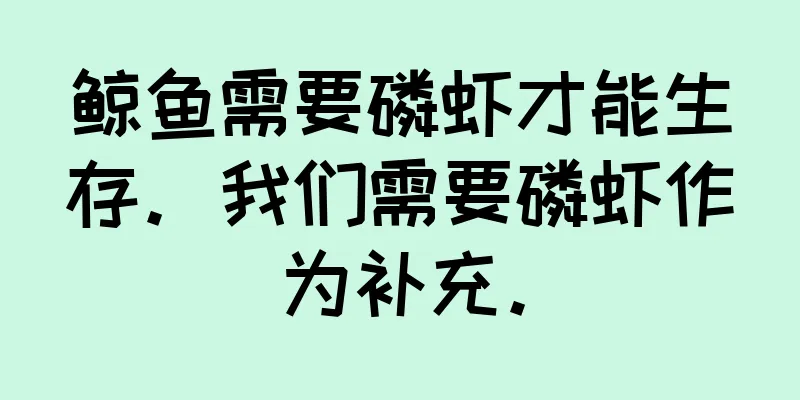 鲸鱼需要磷虾才能生存。我们需要磷虾作为补充。