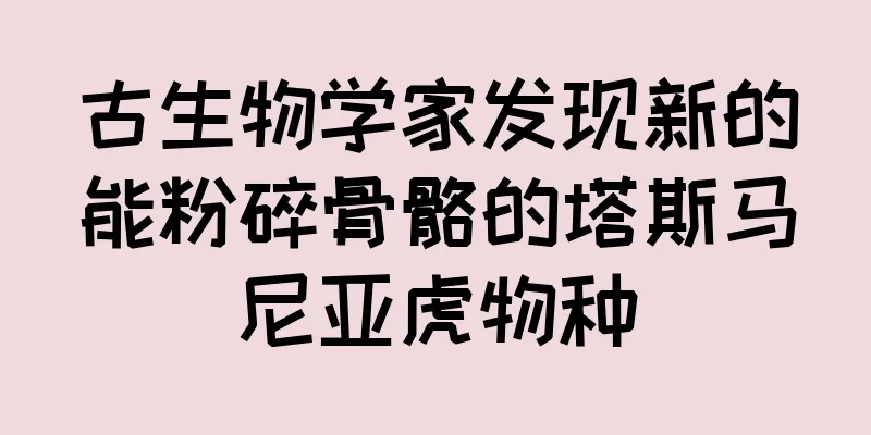 古生物学家发现新的能粉碎骨骼的塔斯马尼亚虎物种