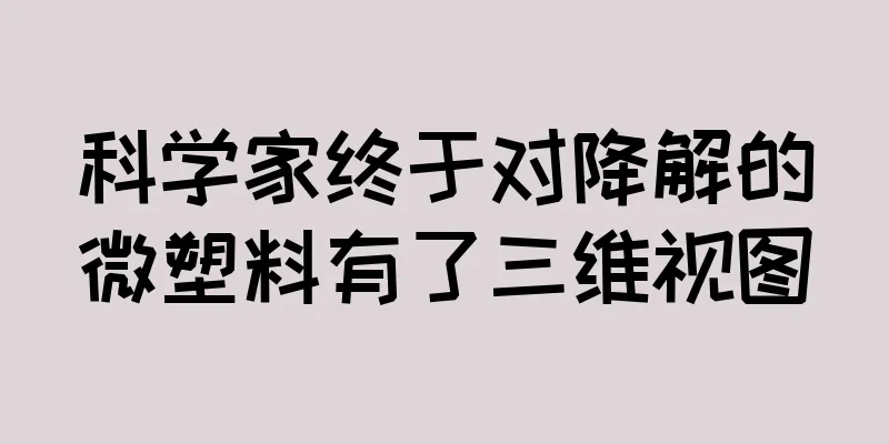 科学家终于对降解的微塑料有了三维视图