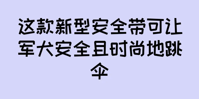 这款新型安全带可让军犬安全且时尚地跳伞