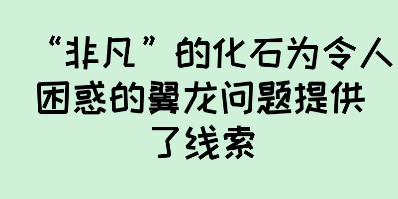 “非凡”的化石为令人困惑的翼龙问题提供了线索