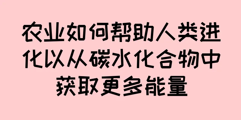 农业如何帮助人类进化以从碳水化合物中获取更多能量