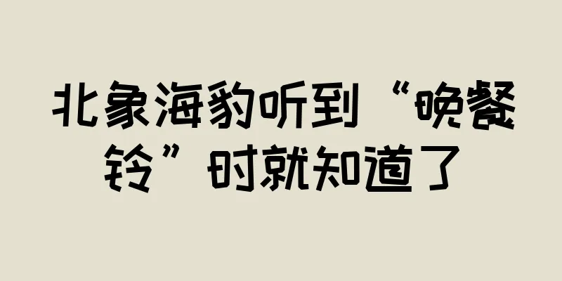 北象海豹听到“晚餐铃”时就知道了