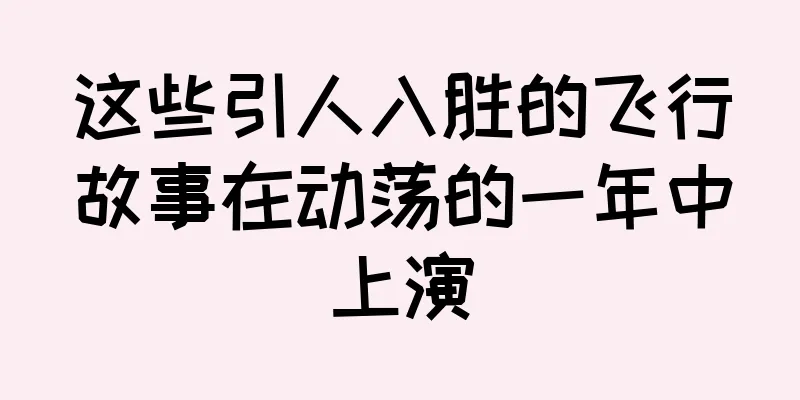 这些引人入胜的飞行故事在动荡的一年中上演