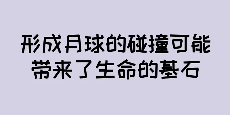 形成月球的碰撞可能带来了生命的基石