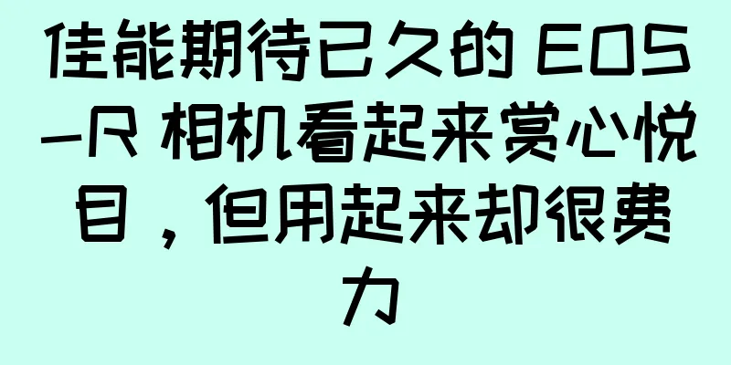 佳能期待已久的 EOS-R 相机看起来赏心悦目，但用起来却很费力