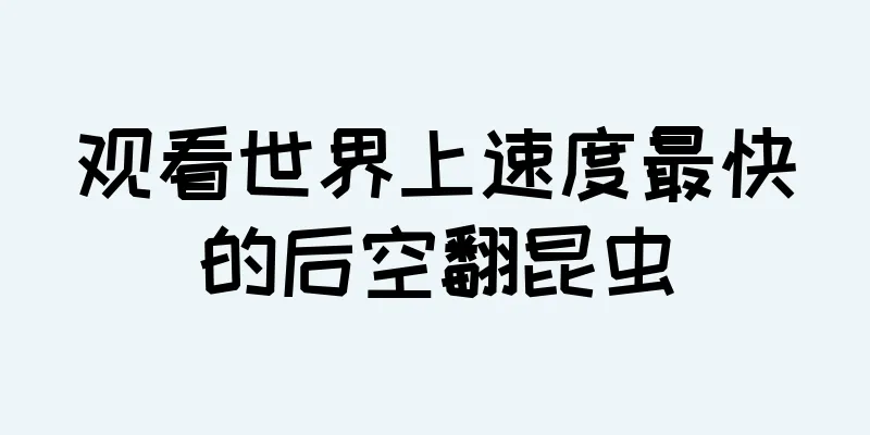 观看世界上速度最快的后空翻昆虫