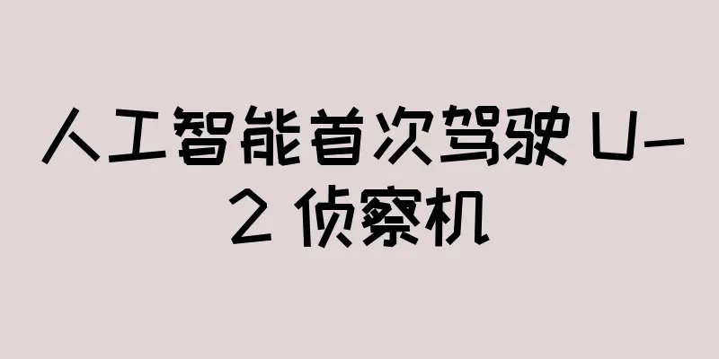 人工智能首次驾驶 U-2 侦察机
