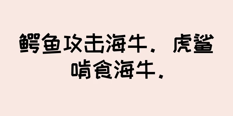 鳄鱼攻击海牛。虎鲨啃食海牛。