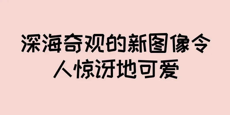 深海奇观的新图像令人惊讶地可爱