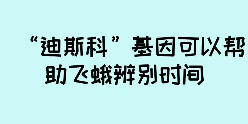 “迪斯科”基因可以帮助飞蛾辨别时间