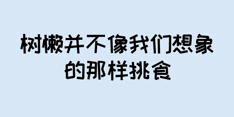 树懒并不像我们想象的那样挑食