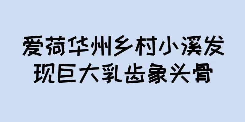 爱荷华州乡村小溪发现巨大乳齿象头骨