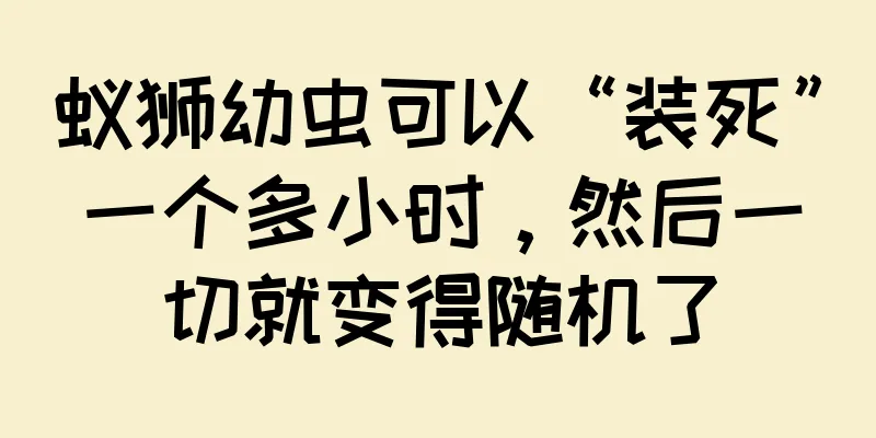 蚁狮幼虫可以“装死”一个多小时，然后一切就变得随机了
