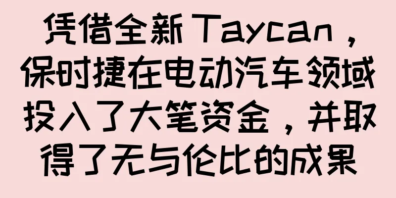凭借全新 Taycan，保时捷在电动汽车领域投入了大笔资金，并取得了无与伦比的成果