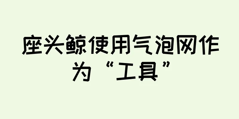 座头鲸使用气泡网作为“工具”