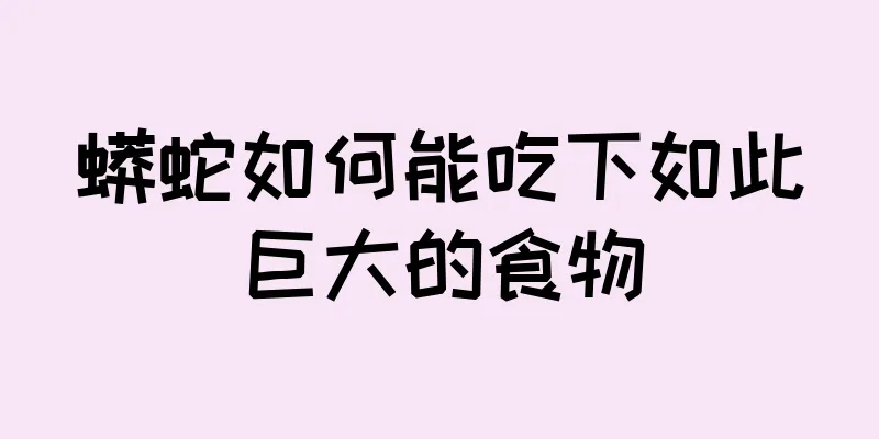 蟒蛇如何能吃下如此巨大的食物