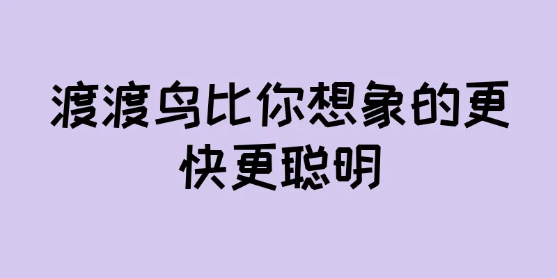 渡渡鸟比你想象的更快更聪明