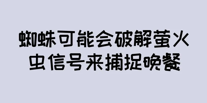 蜘蛛可能会破解萤火虫信号来捕捉晚餐
