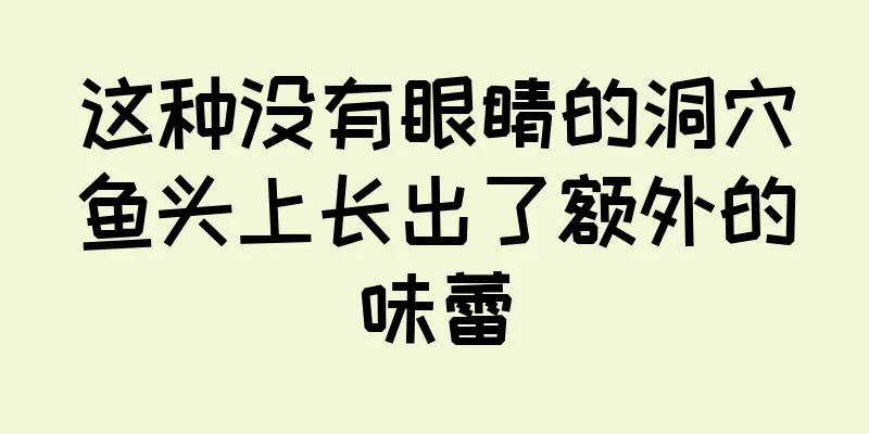 这种没有眼睛的洞穴鱼头上长出了额外的味蕾