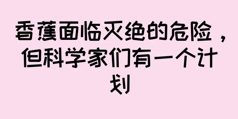 香蕉面临灭绝的危险，但科学家们有一个计划
