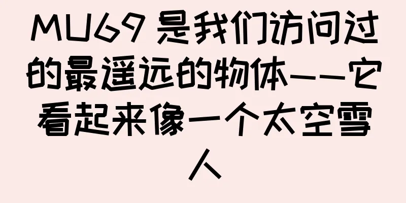 MU69 是我们访问过的最遥远的物体——它看起来像一个太空雪人