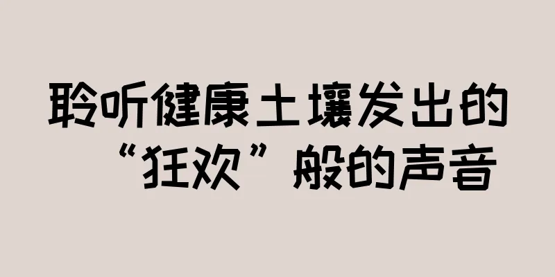 聆听健康土壤发出的“狂欢”般的声音